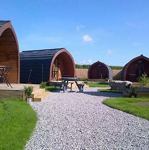 The Little Hide - Grown Up Glamping Apartment Wigginton  Exterior photo