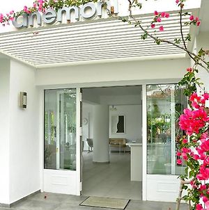 Anemoni Beach Hotel Skiathos Town Exterior photo