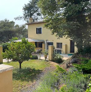 Cote D'Azur Villa Saint-Paul-de-Vence Exterior photo