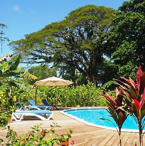 The Hummingbird Hotel Bocas del Toro Exterior photo