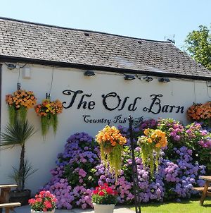 The Old Barn Inn Newport  Exterior photo