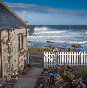 Pew With A View - Seafront Cottages Sandhaven Exterior photo