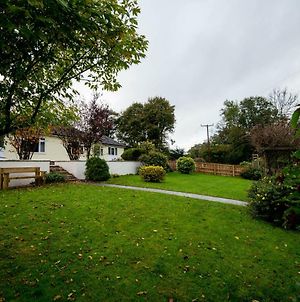 Round Park- Private And Spacious Family Bungalow With Parking Laugharne Exterior photo