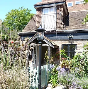Secret Garden Hideaway For Adults Villa Eastbourne Exterior photo