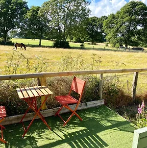 Holly Tree Cottage - 3 Bedrooms And Large Garden With Optional Glamping Double Outside Lymington Exterior photo