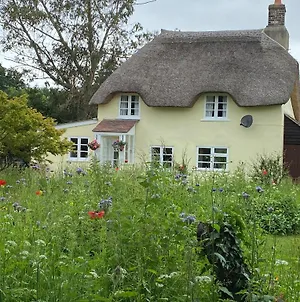 Primrose Cottage Moreton  Exterior photo