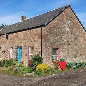 Berry View - Idyllic Cosy Cottage On Berry Farm Blairgowrie and Rattray Exterior photo