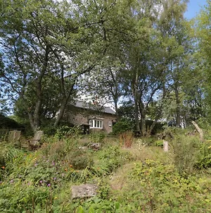 West Burnbank Villa Hexham Exterior photo