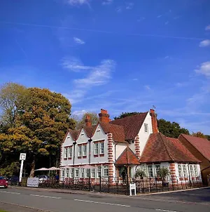 The Bulls Head Inn Ewhurst Exterior photo