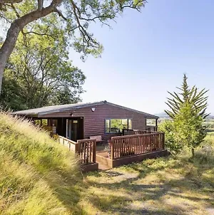Grove Lodge, Contemporary Cabin In Mendip Hills Axbridge Exterior photo