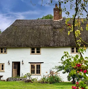 Finest Retreats - Manor Cottage Winterborne Stickland Exterior photo