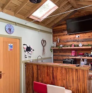Maple Tree Lodge. Quirky Handcrafted Irish Cabin Dromara Exterior photo