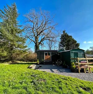 Shepherds Hut In Enclosed Field Cardiff Exterior photo