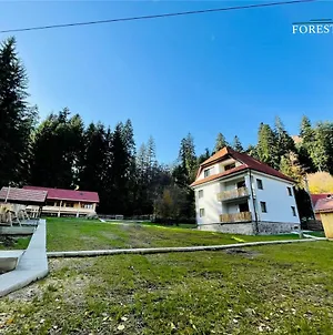 Forest Resort BaileTusnad Exterior photo
