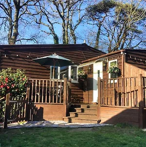 The Chalet In The New Forest - 5 Km From Peppa Pig! Southampton Exterior photo