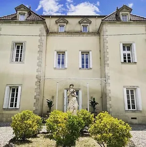Splendide Chateau Napoleonien En Cevennes Saint-Ambroix Exterior photo