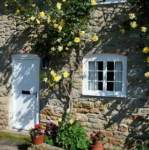 The Cottage Abbotsbury Exterior photo